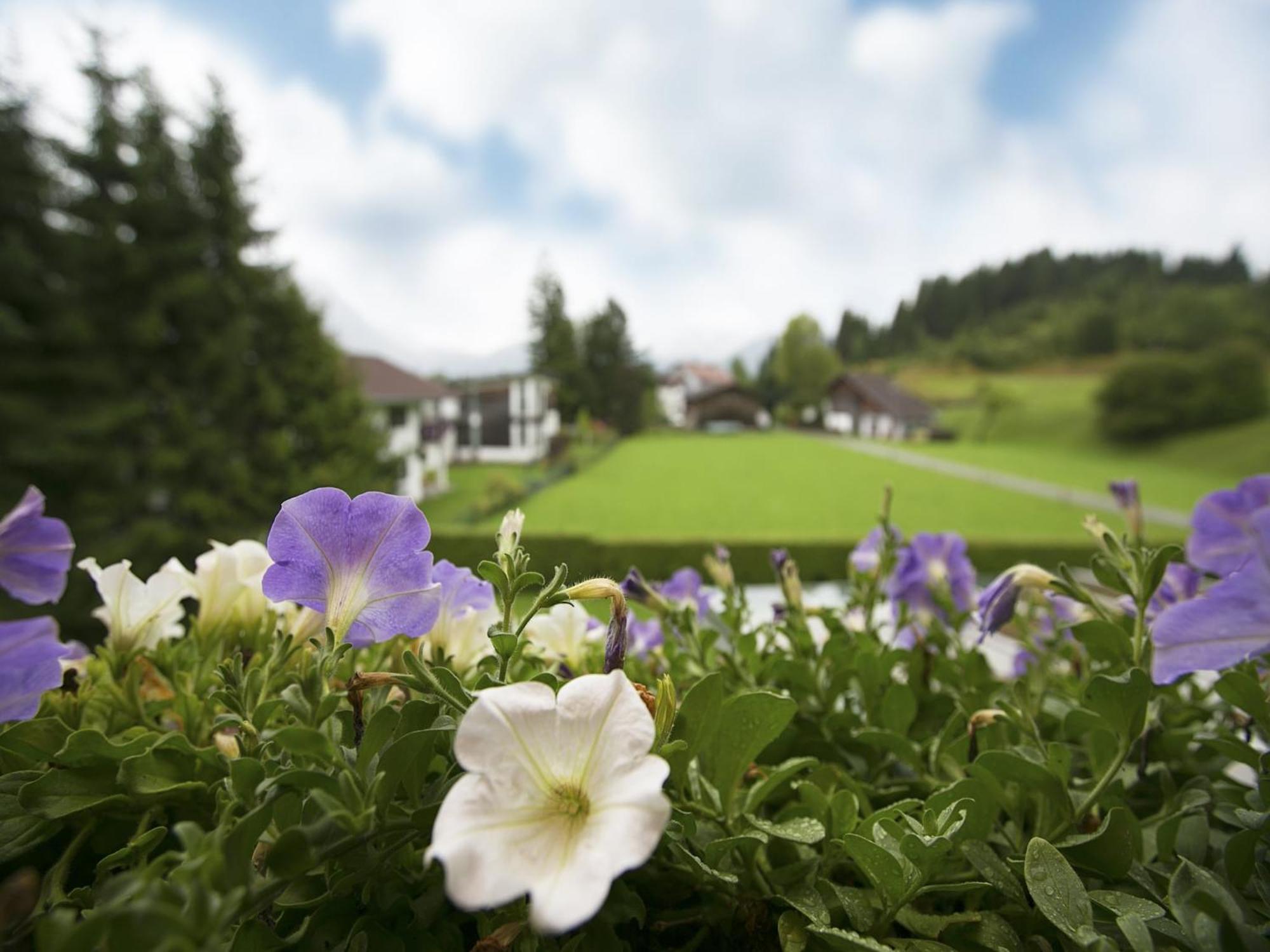 Apartment In W Ngle Tyrol With Walking Trails Near ロイテ エクステリア 写真