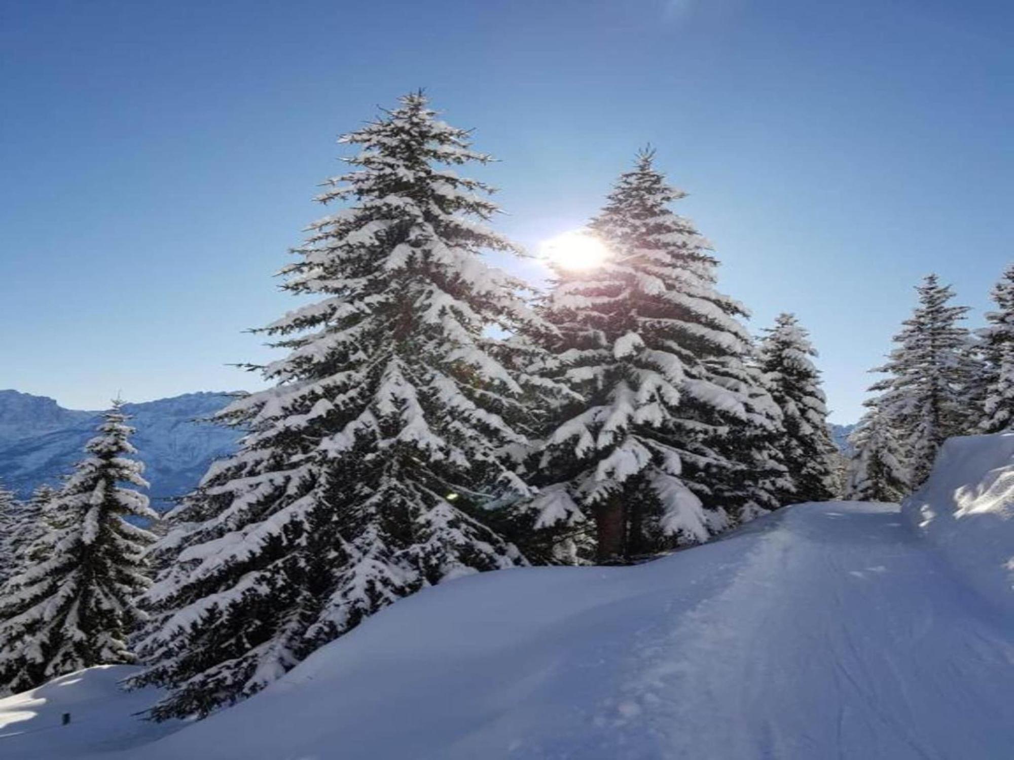 Apartment In W Ngle Tyrol With Walking Trails Near ロイテ エクステリア 写真