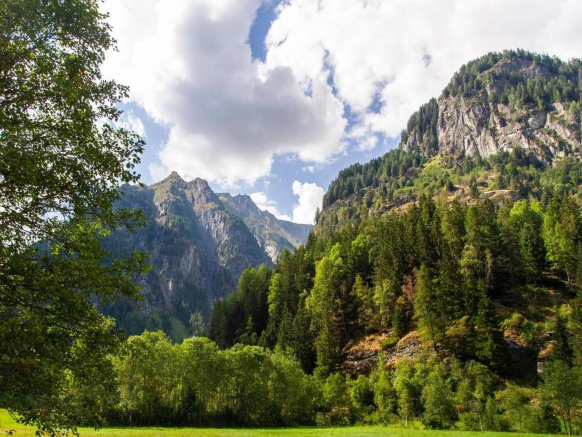 Apartment In W Ngle Tyrol With Walking Trails Near ロイテ エクステリア 写真