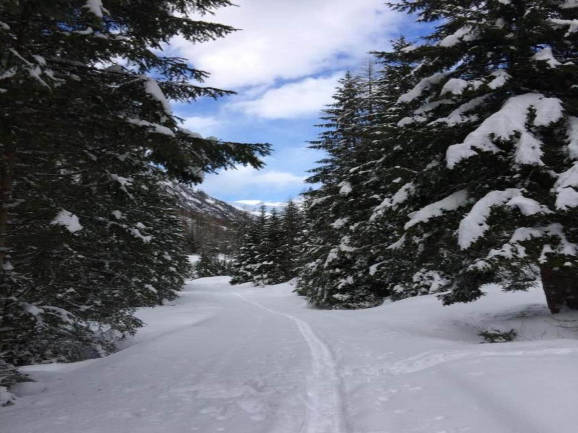 Apartment In W Ngle Tyrol With Walking Trails Near ロイテ エクステリア 写真